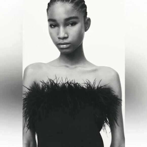 ZARA STRAPLESS FEATHER TOP - Picture 4 of 6